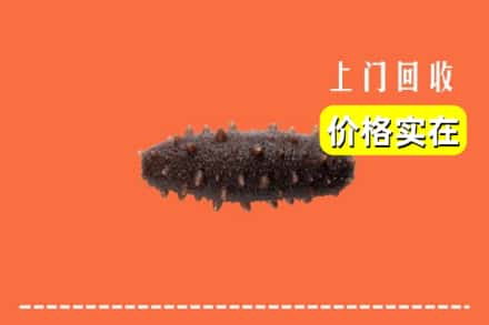 收购资讯:郴州汝城县回收海参