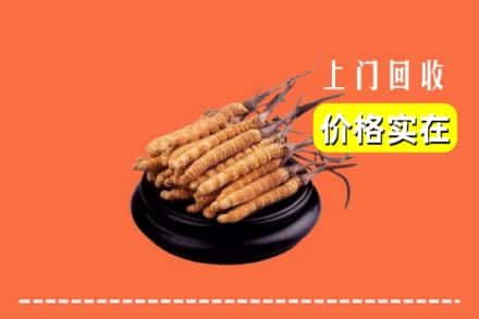 郴州汝城县回收冬虫夏草